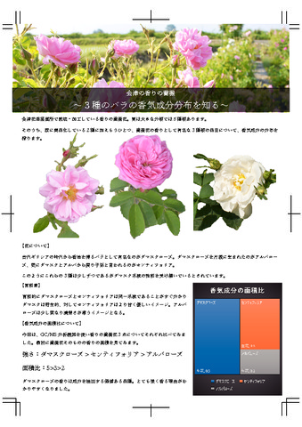 3種のバラの香気成分分布を知る～ | '香るバラ' 会津花畑蒸溜所