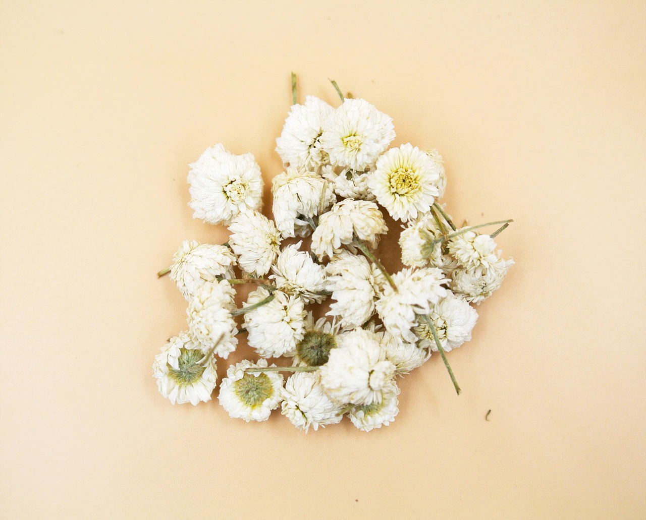 Dbl.カモミール | '香るバラ' 会津花畑蒸溜所